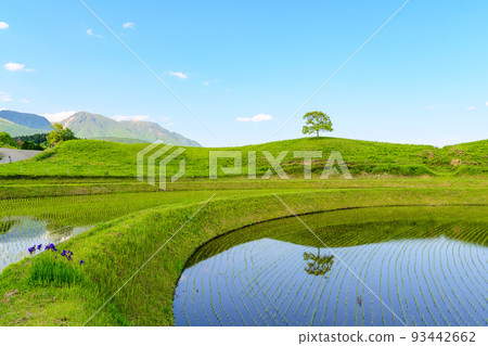 與大自然美麗的草原風光“小木田田”的絕妙和諧 阿蘇郡產山村（小木田田） 93442662