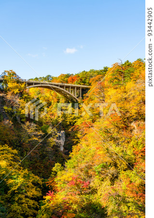[Miyagi Prefecture] Autumn leaves at Naruko Gorge (October) 93442905
