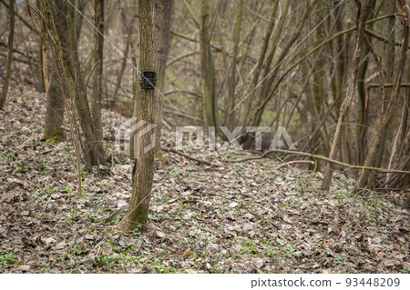 Small game camera attached to a thin tree in spring forest. Small game camera attached to a thin tree in spring forest. 93448209