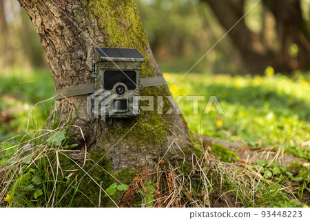 Camera trap with integrated solar panel charging internal battery while strapped to a tree in nature. Camera trap with integrated solar panel charging internal battery while strapped to a tree in nature. 93448223