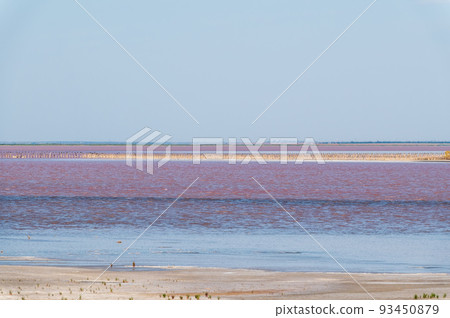 A beautiful salt lake with pink water. 93450879