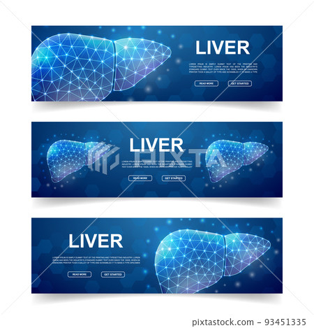 Set of three Liver horizontal banners. Horizontal illustration for homepage design, promo banner. Organ anatomy low poly symbols with connected dots 93451335