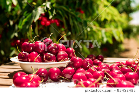 still life of cherries in white bowl on table in garde still life of cherries in white bowl on table in garde 93452485
