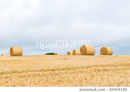Hay rolls in the field Hay rolls in the field 93454199