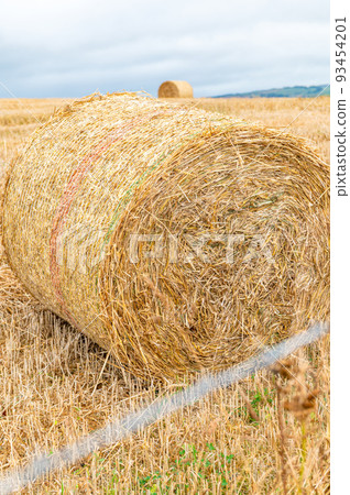 Hay rolls in the field Hay rolls in the field 93454201