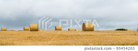 Hay rolls in the field Hay rolls in the field 93454203
