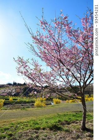 Nasu Shirakawa Forest Springs Hanano Hana (Fukushima Prefecture) 93454281
