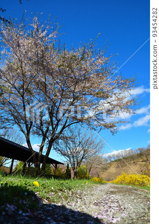 Nasu Shirakawa Forest Springs Hanano Hana (Fukushima Prefecture) 93454282