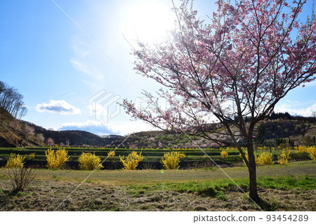 那須白川森林溫泉 花之花(福島縣) 那須白川森林溫泉 花之花(福島縣) 93454289