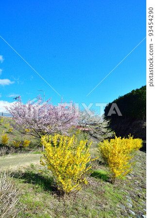 那須白川森林溫泉 花之花（福島縣） 93454290