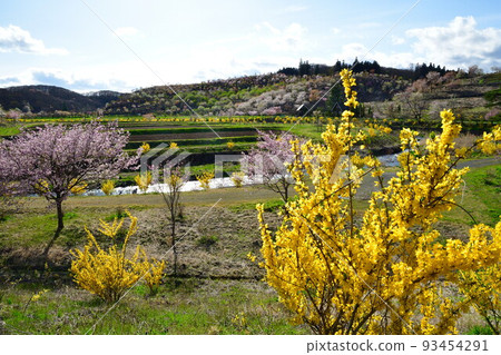 那須白川森林溫泉 花之花(福島縣) 那須白川森林溫泉 花之花(福島縣) 93454291