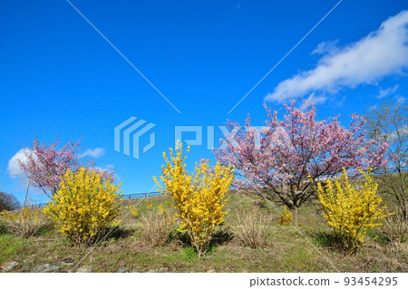 那須白川森林溫泉 花之花（福島縣） 93454295