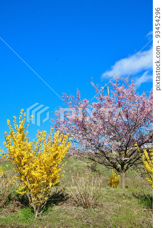 Nasu Shirakawa Forest Springs Hanano Hana (Fukushima Prefecture) Nasu Shirakawa Forest Springs Hanano Hana (Fukushima Prefecture) 93454296