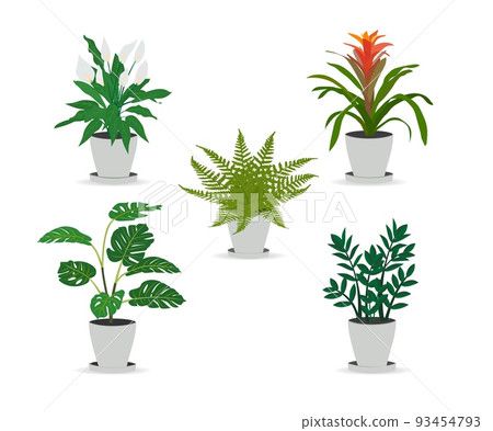 Set of trendy potted plants for home monstera, zamioculkas, guzmania, spatifillum, fern. Isolated on white background. Flat vector illustration. 93454793