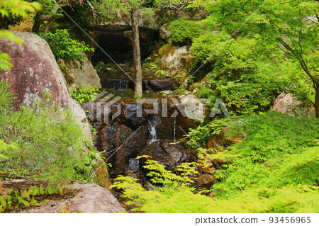 江東三山百濟寺主庭的綠楓 江東三山百濟寺主庭的綠楓 93456965