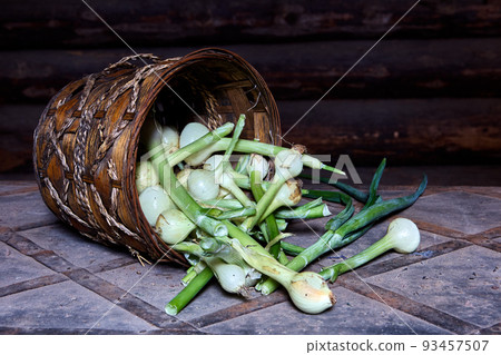 Green onions with bulbs were poured out of wicker basket. 93457507