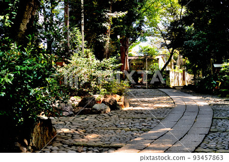 Scenery of the precincts of Yoyogi Hachimangu Shrine Scenery of the precincts of Yoyogi Hachimangu Shrine 93457863