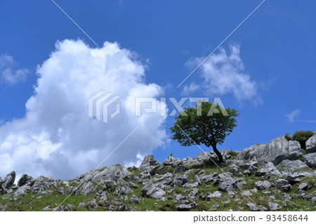 Shikoku Karst Midsummer Season Shikoku Karst Midsummer Season 93458644