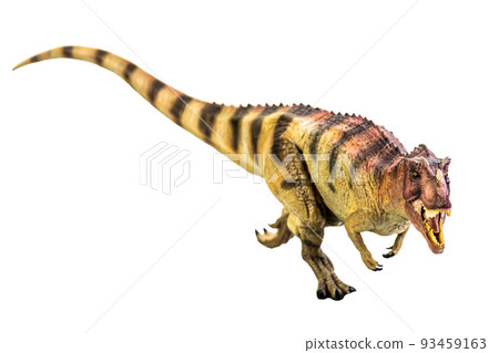 Ceratosaurus Dinosaur on white isolate background Clipping path Ceratosaurus Dinosaur on white isolate background Clipping path 93459163