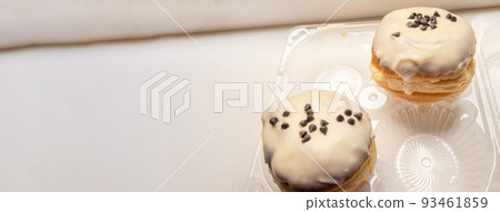 Two delicious donuts with icing sugar and chocolate chips on a white background in a plastic transparent container, a banner with a copy of the space on the left Two delicious donuts with icing sugar and chocolate chips on a white background in a plastic transparent container, a banner with a copy of the space on the left 93461859