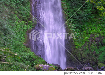 [Japan's Top 100 Waterfalls] Lower part of Amedaki Falls 1 Kokufucho, Tottori City, Tottori Prefecture 93462387