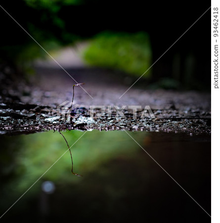 foot reflex foot reflex 93462418