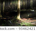 Abandoned house in the forest 93462421