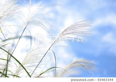 Aozora and Suzuki Aozora and Suzuki 93463344