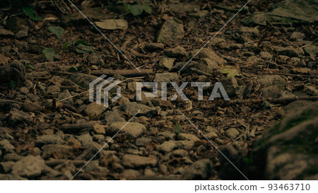 在昏暗的山路上，腳下有很多石頭 93463710