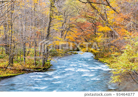Towada City, Aomori Prefecture Oirase Gorge with Autumn Foliage ~ Near Shimeikei ~ Towada City, Aomori Prefecture Oirase Gorge with Autumn Foliage ~ Near Shimeikei ~ 93464877