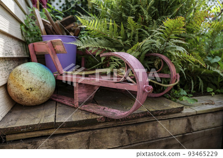fern tree outdoor, handmade conception, in sunny backyard shot at shallow depth of field fern tree outdoor, handmade conception, in sunny backyard shot at shallow depth of field 93465229