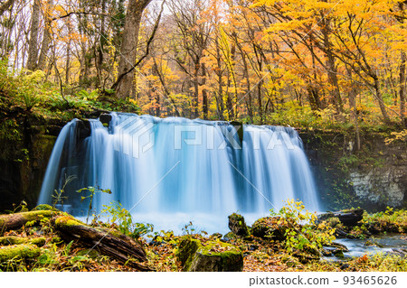 青森縣十和田市 奧入瀨紅葉峽谷～銚子大瀧～ 93465626