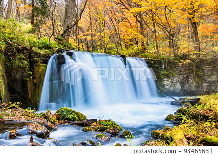 Towada City, Aomori Prefecture Oirase Gorge with Autumn Leaves ~Choshi Otaki~ 93465631