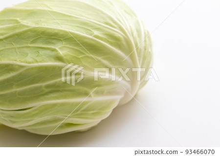 Fresh cabbage 93466070