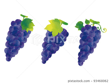 水彩風格巨峰葡萄葉套裝 水彩風格巨峰葡萄葉套裝 93468062