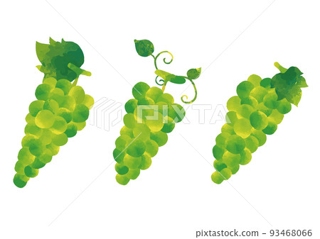 鑲有水彩風格的麝香葉 鑲有水彩風格的麝香葉 93468066