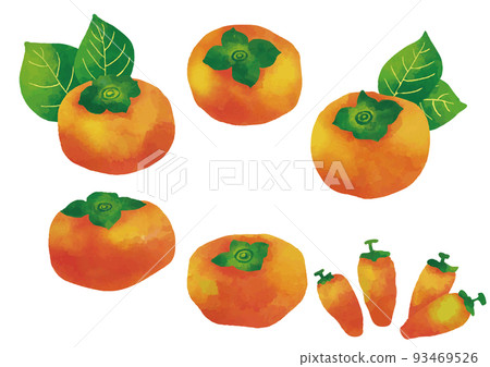 Watercolor style persimmon and dried persimmon set Watercolor style persimmon and dried persimmon set 93469526