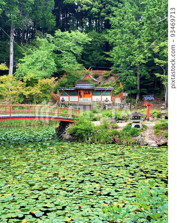 Oharano Shrine, Koizawa Pond, Lotus, Kyoto Prefecture, Nagaokakyo's guardian deity, the relocation of the capital to Nagaokakyo, Nara's Kasuga Taisha Shrine, the beauty of the four seasons 93469713