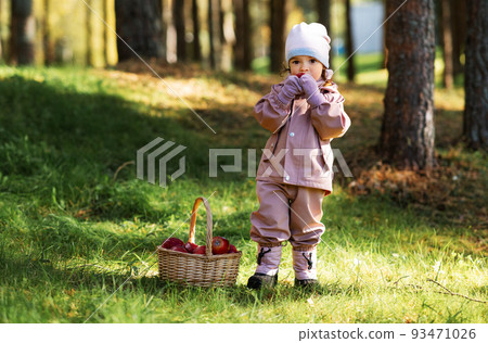 little baby girl with basket of apples at park little baby girl with basket of apples at park 93471026