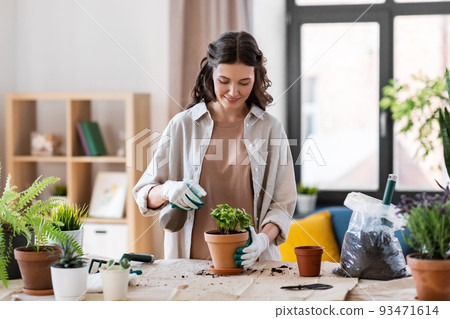 happy woman planting pot flowers at home 93471614