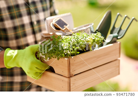 close up of man with tools in box at summer garden close up of man with tools in box at summer garden 93471780