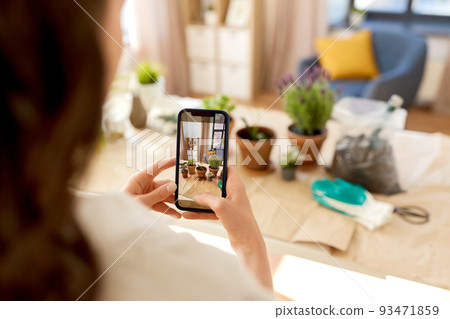 woman with smartphone photographing pot flowers woman with smartphone photographing pot flowers 93471859