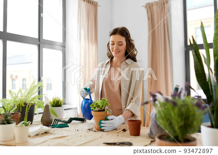 happy woman planting pot flowers at home 93472897