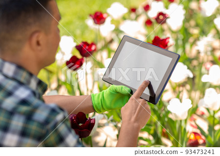 man with tablet pc and flowers at summer garden man with tablet pc and flowers at summer garden 93473241