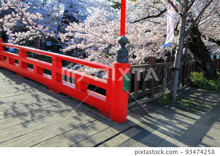 櫻花盛開的水門川漫步3（岐阜縣大垣市水門川） 93474258