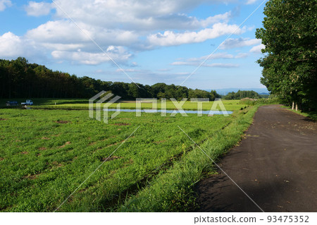 Photo Mizuho no Kuni Landscape with rice fields After torrential rain Pastoral scenery Michinoku rural scenery 93475352