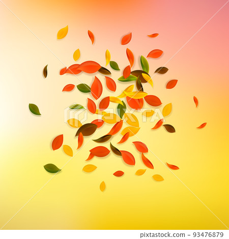 Falling autumn leaves. Red, yellow, green, brown chaotic leaves flying. Explosion colorful foliage on stunning sunset background. Bold back to school sale. Falling autumn leaves. Red, yellow, green, brown chaotic leaves flying. Explosion colorful foliage on stunning sunset background. Bold back to school sale. 93476879