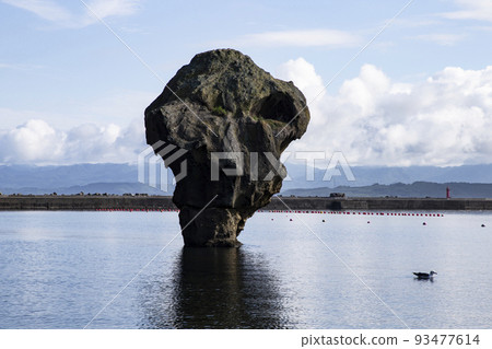 Bottle rock 93477614