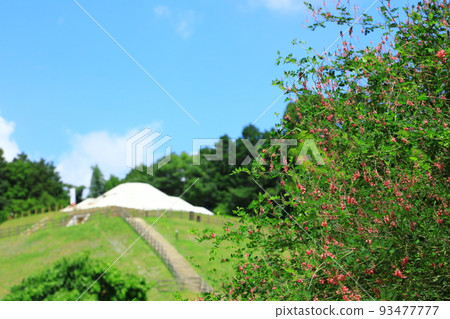 Historic Site: Kengoshizuka Tumulus and Hagi Flowers 93477777