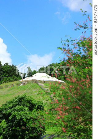 Historic Site: Kengoshizuka Tumulus and Hagi Flowers 93477779